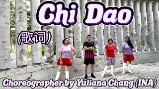 Chi Dao  迟到  DanceampTutorial  Line Dance [upl. by Nelluc851]