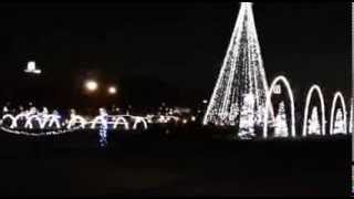 Shadracks Christmas Wonderland In Sevierville Tennessee [upl. by Evvy]