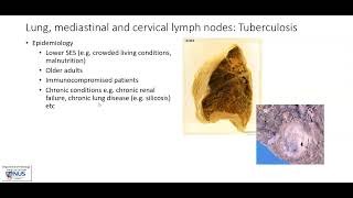 Lung mediastinal and cervical lymph nodes Tuberculosis TB Gross pathology [upl. by Rim]