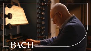 Bach  Schmücke dich o liebe Seele BWV 654  Koopman  Netherlands Bach Society [upl. by Ylagam]