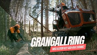 GRANGALLRING MED ALSTOR 822 [upl. by Isadora]