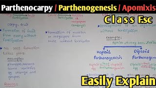 Parthenocarpy  Apomixis  Parthenogenesis  Seed Dormancy  Class 12 Biology [upl. by Seavey454]