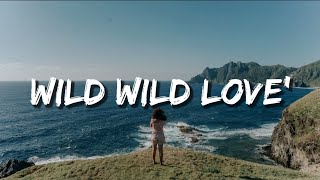 Pitbull ft G R L quotWILD WILD LOVEquot Lyrics [upl. by Filberto210]