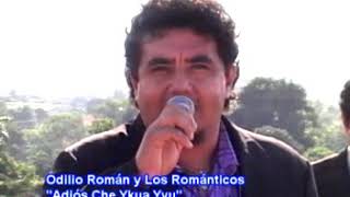 Adios che ykua yvu  Odilio Roman y los Romanticos [upl. by Handler]