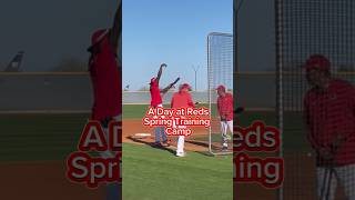 A day at Reds Spring Training camp Cincinnati Reds MLB baseballSpringTraining EllyDeLaCruz [upl. by Denise942]