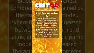 Blood Flow Mechanisms [upl. by Lleuqar]