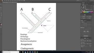 BIOL 4330 Unit 2 7 2 Paralogy and Gene Loss [upl. by Einnal]