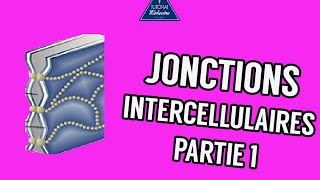 03  Les Jonctions intercellulaires Partie 1 [upl. by Lori]