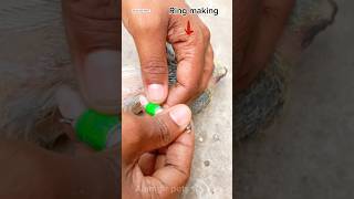 pigeon ring 🕊️Pigeon ring video ❤️🕊️✅ shortsbird pigeon treending youtubeshorts viral [upl. by Cavil]