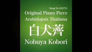 April 14 2024 Nobuya Kobori Song No016751 Arabidopsis Thaliana 白犬薺 [upl. by Borras]