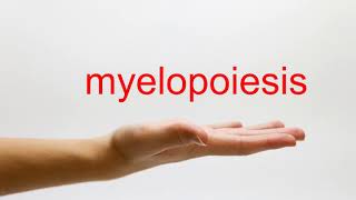 How to Pronounce myelopoiesis  American English [upl. by Isayg]