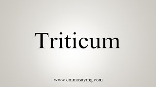 How To Say Triticum [upl. by Airotkciv203]