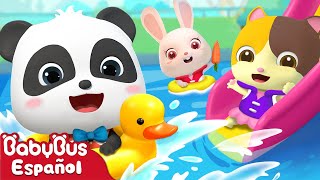 Cinco Niños en la Piscina  Canciones Infantiles  Video Para Niños  BabyBus Español [upl. by Aicrag]