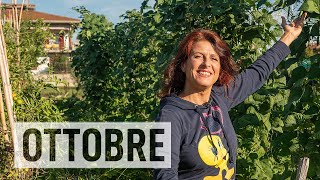 Orto a OTTOBRE Semine e lavori del mese🌽 [upl. by Atiniv971]