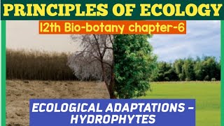 12th biobotany chapter6 Principles Of Ecology ECOLOGICAL ADAPTATIONS HYDROPHYTES 12th SCERT [upl. by Treblah]