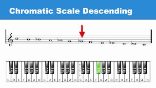 Lesson 8 HalfSteps amp the Chromatic Scale [upl. by Nemad]