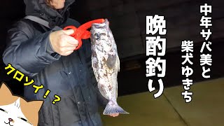 中年サバ美と柴犬ゆきちの晩酌刺身釣り！【宮城県石巻市】 [upl. by Mulvihill]