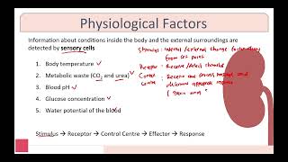 Chapter 14 Homeostasis Biology Cambridge A Level [upl. by Assiran]