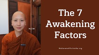 The 7 Enlightenment Factors II EP 10 [upl. by Kevan836]