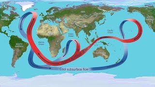 3 Causes of Ocean Currents Tide Wind and Thermohaline Circulation Which Takes Nearly 1000 Years [upl. by Bartley528]