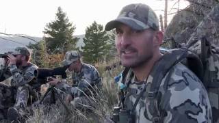 Bow Hunting Elk in Montana [upl. by Cryan311]