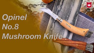 Opinel No8 Mushroom Knife  Francuski Nóż na grzyby  Kayoba [upl. by Efren853]