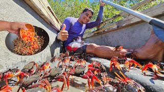 TANTOS ARATUS QUE ATÉ SUBIRAM EM MIM  The red crabCatch and cook [upl. by Arihat514]