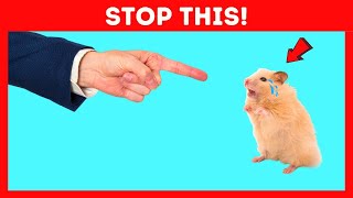 16 Common Mistakes That Can Harm Your Hamster [upl. by Pacien]