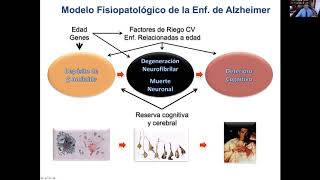 Biomarcadores de Enfermedad de Alzheimer 2020 [upl. by Leile]