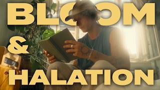 Get The FILM BLOOM amp HALATION EFFECT In Premiere Pro Tutorial  Nostalgic Film look [upl. by Aken]