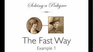 Solving a Pedigree  the Fast Way example 1 [upl. by Kirima]