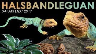 Safari Ltd ® Halsbandleguan  Collared Lizard Crotaphytus collaris Review Deutsch  German [upl. by Bron]