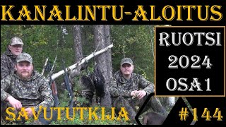 OSA1 Kanalintujahdin aloitus Ruotsissa 2024  Grouse and Capercaillie Hunting in Sweden [upl. by Boyden730]