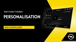 Navi 50 IntelliLink  Personalisation  Thats How It Works [upl. by Tracey237]