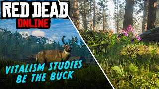 HOW TO Turn into a BUCK in Red Dead Online Quick and Easy Guide  VITALISM STUDIES [upl. by Obe]