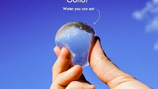 Ooho The Edible ‘Bottle’ Could Change The Way We Drink Water [upl. by Bonine846]