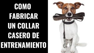 🎯COMO FABRICAR UN COLLAR CASERO DE ADIESTRAMIENTO PARA PERROS 💢 🛑 🚀 [upl. by Nwahsel360]