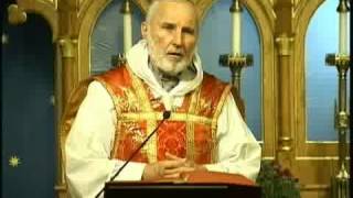 Sep 19  Homily St Januarius Bishop and Martyr [upl. by Besnard524]