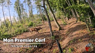 Chasse aux Grand Gibier  Mon premier cerf  compilation saison 202324 [upl. by Akcirret]