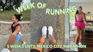 MARATHON TRAINING VLOG 5 Weeks Until Mexico City Marathon [upl. by Oruasi]