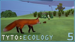 FIRST FOX OF THE GRASSLANDS  TYTO ECOLOGY  Episode 5 [upl. by Martie]