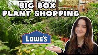 Plant Shopping at Lowes Big Box Store 🪴  February 2024 [upl. by Nehcterg]