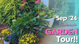 September 24 Container Garden Tour New Fall Containers gardentour [upl. by Osnofedli]