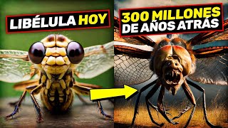 ANIMALES PELIGROSOS EXTINTOS hace miles de años vs ANIMALES que se ACABAN de EXTINGUIR [upl. by Ahsatak]