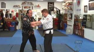 Hapkido Basics 2 [upl. by Hilly371]