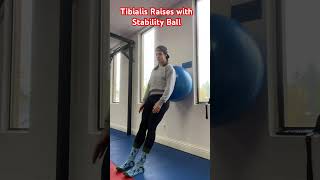 Tibialis Raises with Stability Ball [upl. by Yeoz]