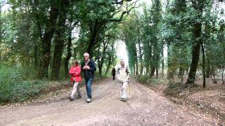 UMBRIA  SENTIERI DAUTUNNO  BOSCO SERENI  Full HD [upl. by Hellah170]