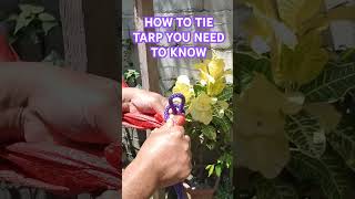 HOW TO TIE TARP YOU NEED TO KNOWhowto craftdiycreative trending viralvideo trendingshorts [upl. by Haelahk664]