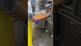 The Heavy filling machine for the production of dried mini salami without alginate casing [upl. by Yblocaj9]