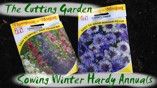 The Cutting Garden  Growing Winter Hardy Annuals [upl. by Phineas281]